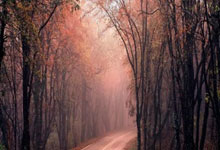 DB彩票官方网站-阿尔希拉尔主帅强调比赛节奏，冲击世俱杯冠军信心足