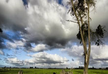 DB彩票官方网站-阿尔希拉尔主帅强调比赛节奏，冲击世俱杯冠军信心足