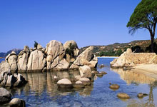 DB彩票平台-鹿岛鹿角攻防转换加快，比赛节奏全面提升