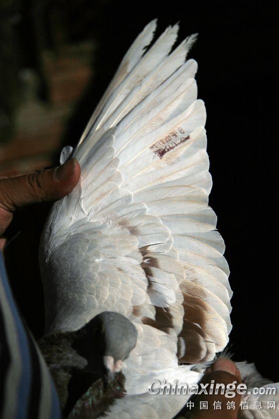 黑山国家队最新消息：球员精神抖擞，